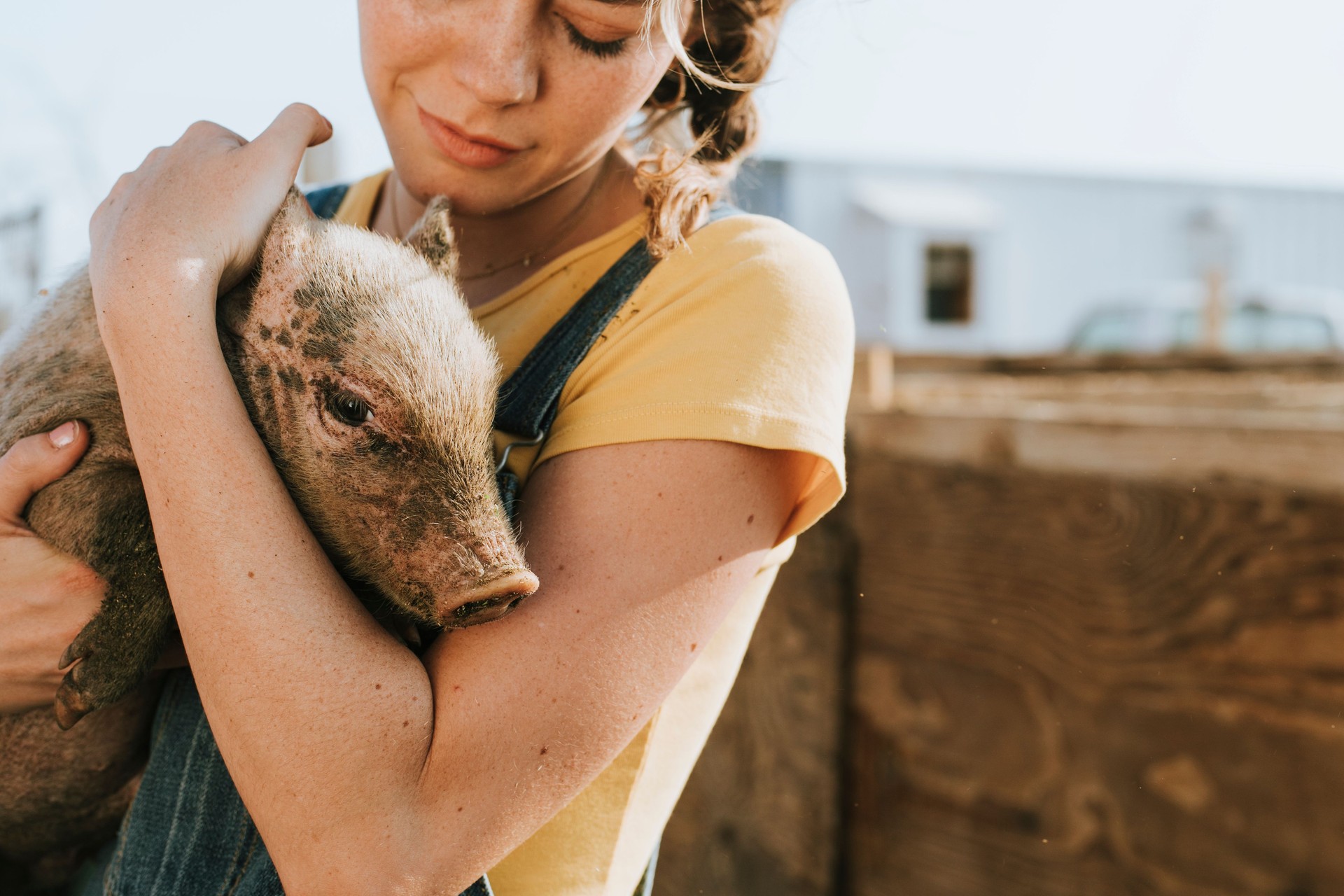 Young volunteer with a piglet, The Sanctuary at Soledad, Mojave