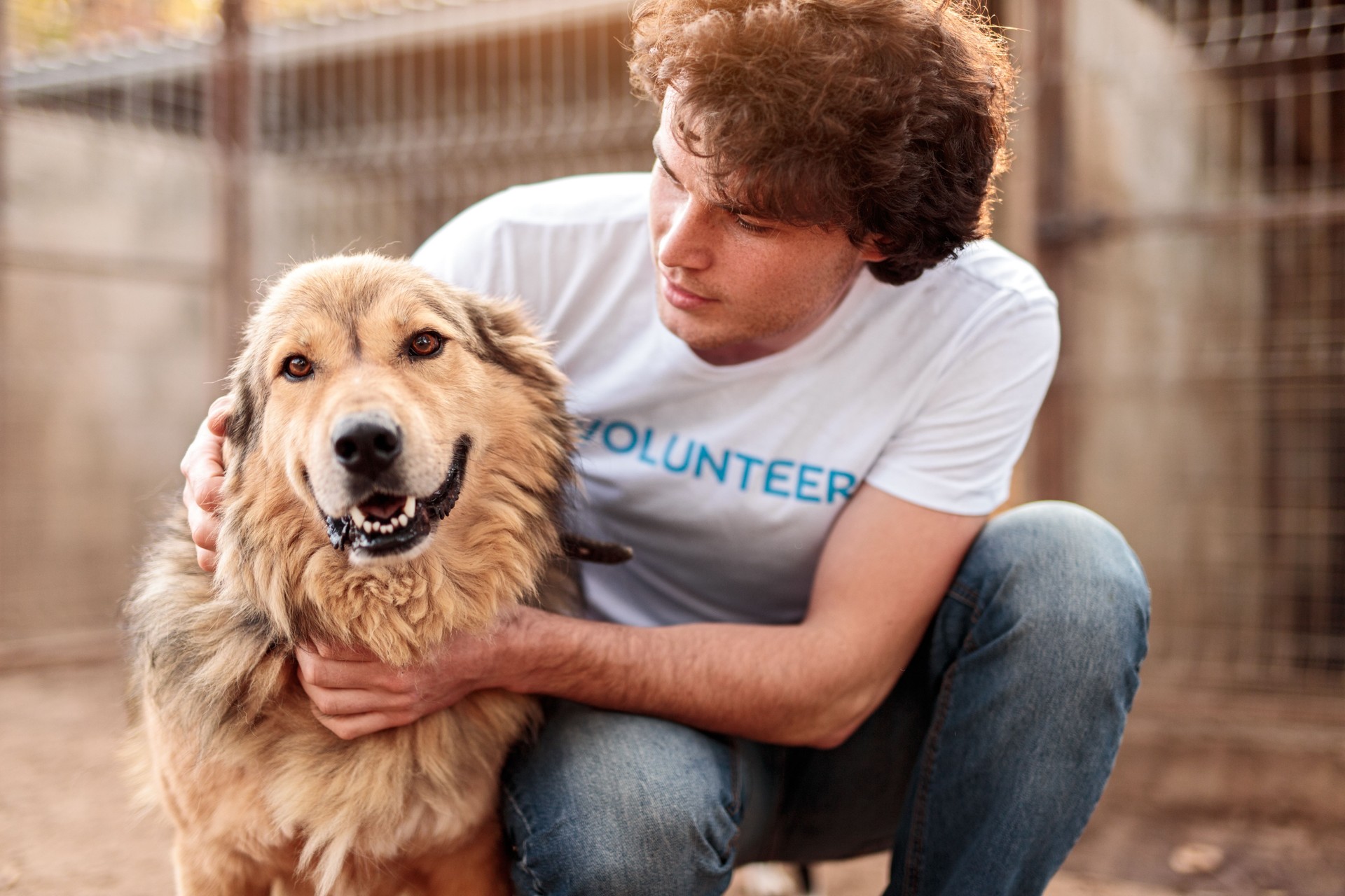 Volunteer taking care of dog in shelter